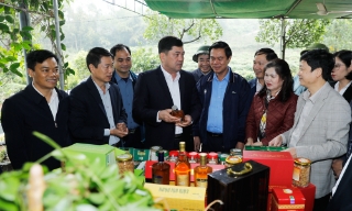 Bí thư Tỉnh ủy Nguyễn Hồng Thái thăm mô hình sản xuất nông nghiệp tiêu biểu tại xã Phúc Hòa